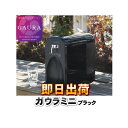 【あす楽】 ガウラミニ(GAURAmini) ブラック 水素水生成器 水素水サーバー 高濃度水素水 GH-T1