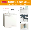 クリナップ BGAシリーズ 洗面化粧台(ミラー部無し) シングルシャワー水栓 幅:750mm