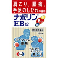 【第3類医薬品】ナボリンEB錠　120錠