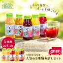 【人気5種類のジュース×4 詰め合わせセット】ネット限定商品★人気 ギフトセット★送料無料 御中元 お歳暮 内祝 熨斗ラッピング可 りんご・白桃・クランベリー・マンゴ・ザクロ順造選 詰め合わせ 国産 贈答 ギフト