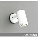 ショッピングオーデリック 【OG254363】オーデリック エクステリア スポットライト LED電球ダイクロハロゲン形 【odelic】