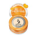 サロンスタイル ヘアワックス C(ハード) ミニ 22g