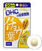 DHC 20日分 イチョウ葉 60粒