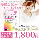 チェストツリー粒 90粒 ゆうメール送料無料