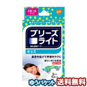 ブリーズライト キッズ 10枚入 メール便送料無料_