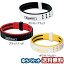 ファイテン RAKUWAブレスS DUOタイプ メール便送料無料