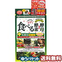 からだにとどく 食べる生酵素×生酵母+乳酸菌EC-12 150粒(460mg×150カプセル) メール便送料無料