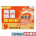 【第2類医薬品】 漢元ハヤオキM 12包 メール便送料無料_