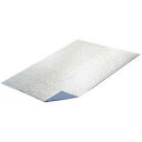◆パール金属 キャプテンスタッグ シルバーキャンピングマット【LL】200×150cm 1ケース(入数 12枚)
