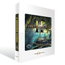 BEST SERVICE / FOREST KINGDOM 2 【送料無料】