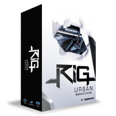 BIG FISH AUDIO RIG / URBAN WORKSTATION リグ / ア…...:k-gakki:10024896