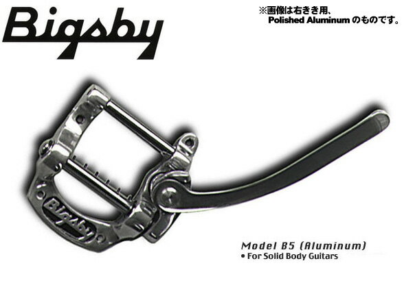 Bigsby Vibrato Tailpiece B5 LEFT Plated Gold ビグスビー ビブラート・テイルピース アーム【ご予約受付中】【送料無料】