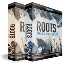 TOONTRACK SDX ROOTS BUNDLE ルーツ・バンドル【送料無料】【smtb-u】