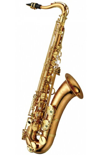 YANAGISAWA Tenor Saxophone WO Series T-WO2《テナ…...:k-gakki:10086308