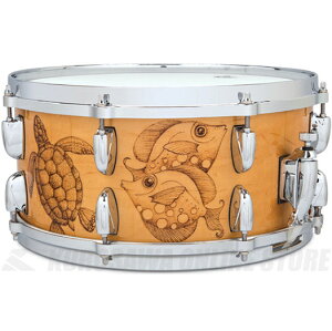 GretschDrumsC-65146SWB2AQUATIC《スネアドラム》【送料無料】