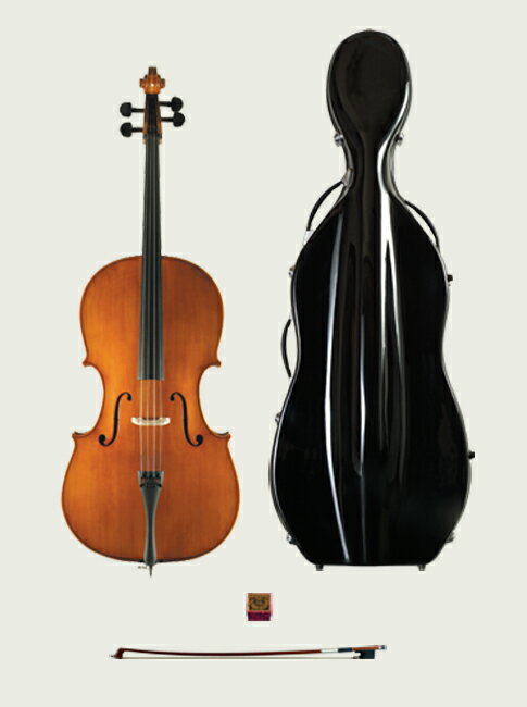 Suzuki スズキ Cello チェロ No.72c セット 