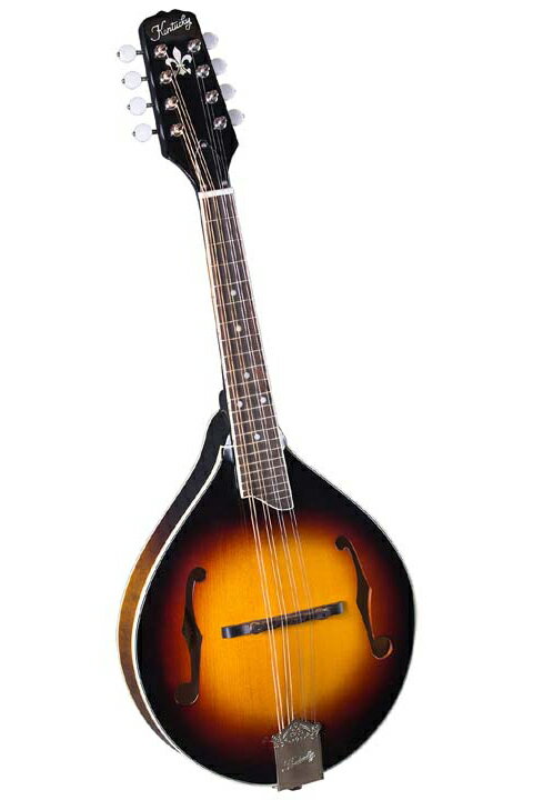 Kentucky KM-350 Artist A-model Mandolin 《マンドリ…...:k-gakki:10069394