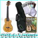 BIG ISLAND EUL-SMP-N/EB 【送料無料】【エレクトリックウクレレ】《ウクレレ入門セットプレゼント♪》【ONLINE STORE】