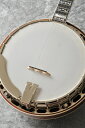 Gold Star GF-100FE Mahogany -Flying Eagle- 《バンジョー》【送料無料】【smtb-u】