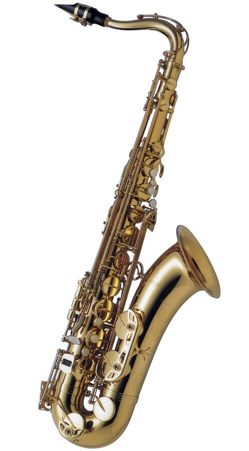 Antigua アンティグア Tenor Saxophone 【テナーサックスセット付】 