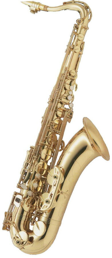 Antigua アンティグア Tenor Saxophone ZZ 【テナーサックスセット…...:k-gakki:10001944