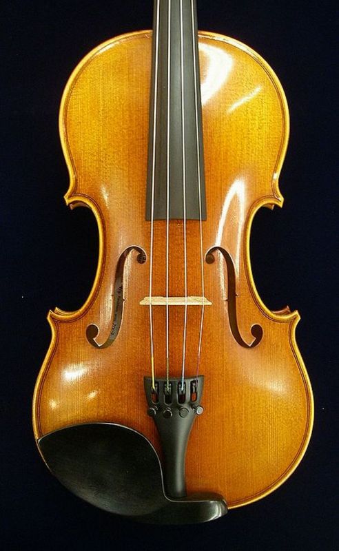 Klaus Heffler NEXwt[ No.500 Violin @CIZbgyɌEZbgtz