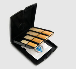 ꡼¸Ĵ꡼RICO 饤꡼ɥ ޥ