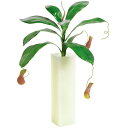 【観葉植物 造花】ウツボカズラ 40cm(SC(CT)触媒・光触媒/インテリア/お祝い)【フェイクグリーン 観葉植物 造花 カジュアルポット】