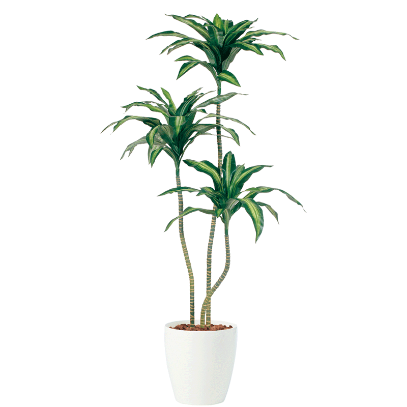 【観葉植物 造花】ドラセナリンデーニトリプル 160cm 鉢植【フェイクグリーン 大型 樹木 SC/CT触媒・光触媒/インテリア/お祝い】