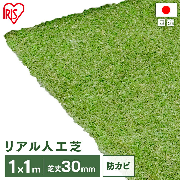 リアル人工芝 IP-3011