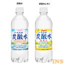 炭酸水 48本 伊賀の天然水 炭酸水 500ml 炭酸飲料 ...