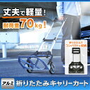 折りたたみキャリーカート OAC-H001BKあす楽対応 台車 キャリー ワゴン 折りたたみ 台車ワゴン 台車折りたたみ キャリーワゴン ワゴン台車 折りたたみ台車 ワゴンキャリー ブラック【D】