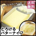 とろけるバターナイフ送料無料 バターナイフ おろしつき 削る 日本製 食洗機対応 ステンレス アーネスト 76513【D】【代引不可】《メール便で送料無料》