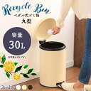【P3倍★19:00~24h】ごみ箱 ゴミ箱 ペダル ペール ごみばこ ペダル式ゴミ箱 丸型 30L AFB-C30あす楽 送料無料 キッチン お洒落 おしゃれ オシャレ ごみ箱 ペール ペダル式 まる 丸 30L ふた付き ガスダンパー おしゃれ スタイリッシュ ブラウン ホワイト 【D】