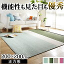 【送料無料】 北欧デザインラグ 〔ジャーニー〕 200x200cm