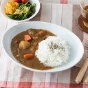 洋食器 オーバルボウル 26cm 白い食器 楕円皿 日本製 美濃焼 エクシブ カネスズ 皿 カレー皿 パスタ皿 サラダ皿 盛り皿 プレート ボール 盛り鉢 カフェ食器 おしゃれ シンプル カフェ風 業務用