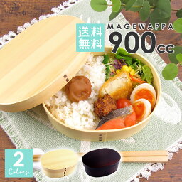 【送料無料】 曲げわっぱ 小判型 デカ盛り弁当 900cc ウレタン塗装 ランチボックス <strong>弁当箱</strong> 木 天然木 <strong>大きい</strong> 大きめ 大容量 インスタ映え インスタグラム 和風 おしゃれ メンズ レディース 男性 運動会 バンド付き 木製 曲げわっぱ <strong>弁当箱</strong> オシャレ 選べる2色