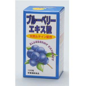 y㕥OK!z ڂɗǂTvɃu[x[GLXCeC120