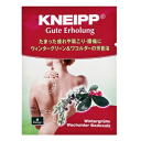 クナイプ グーテエアホールング バスソルト ウィンターグリーン&ワコルダーの香り 40g