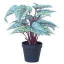 人工観葉植物 ベゴニアポットライムホワイト32(1個)bc040-1 観葉植物 (代引き不可) インテリア フェイクグリーン 造花POT INDOOR (p36)