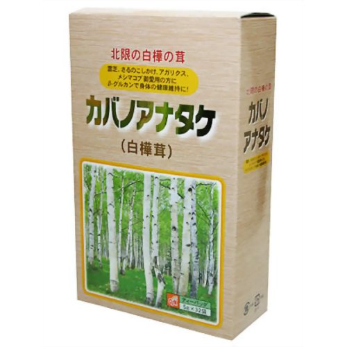 OSK幻のキノコ茶 カバノアナ茸(白樺茸)32P ティーバッグ 5g×32袋白樺の樹約2万本に1本の割合でしか寄生しないので『幻のキノコ』ともいわれています