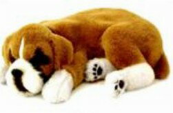 ƤƸΤ褦ˤ񤤤ˡץ쥼Ȥˡե»ưȥڥåȡإܥ