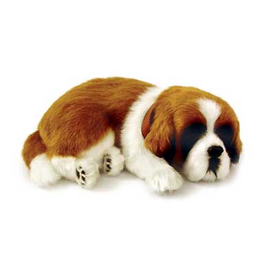 ƤƸΤ褦˥ץ󥼥ȡ񤤤ˤˡźȤơ߸˸¤ǽǤưڥåȡإȥСʡɡ