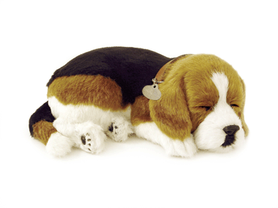 ƤҸΤ褦ˢ¨в٢ưڥåȡإӡ