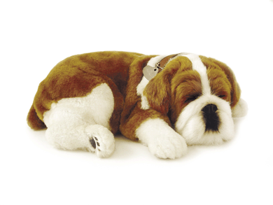 ƤҸΤ褦ˢ¨в٢ưڥåȡإ֥ɥå