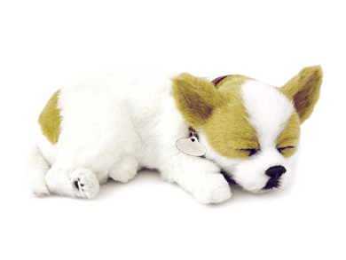 ƤҸΤ褦ˢ¨в٢ưڥåȡإ