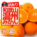 みかん 10kg 訳あり ご家庭用 和歌山県産 産地直送 無...