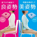 【送料無料】腰痛グッズ 背筋 背筋矯正 座布団 姿勢矯正 猫背 矯正 姿勢 矯正 クッション 骨盤 骨盤矯正 角座 痔 カー用品 オフィス 腰痛 腰痛対策 ドーナツ クッションサポート 便利グッズ 良姿勢 美姿勢 ピンク ブルー ウレタン 自宅 リビング ドライブ【328278】