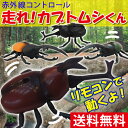 【送料無料】ラジコン カブトムシ かぶとむし ヘラクレス か...