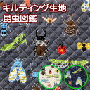 キルティング生地 昆虫図鑑 入園 入学 通園 通学 手芸 生...